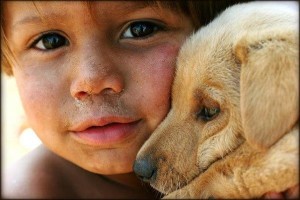 el niño y el perrito